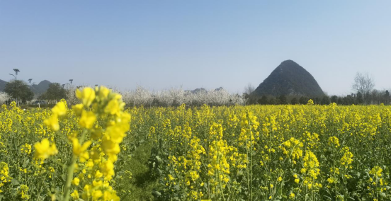 1646990165643853.png image.png